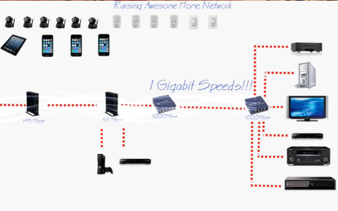 Network Cable